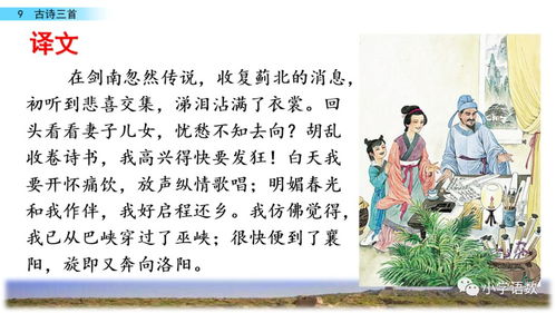 詩句,優(yōu)雅,餐廳,環(huán)境