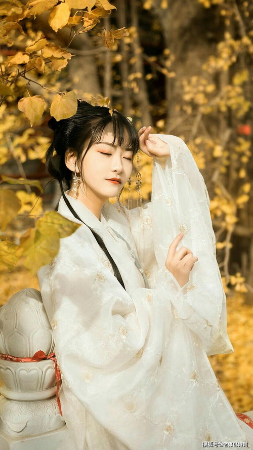 描寫人眼睛美的古詩句