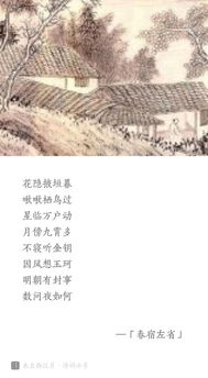 古詩江畔獨步尋花杜甫的詩句,關于杜甫的詩句古詩,杜甫洞庭湖的詩句古詩