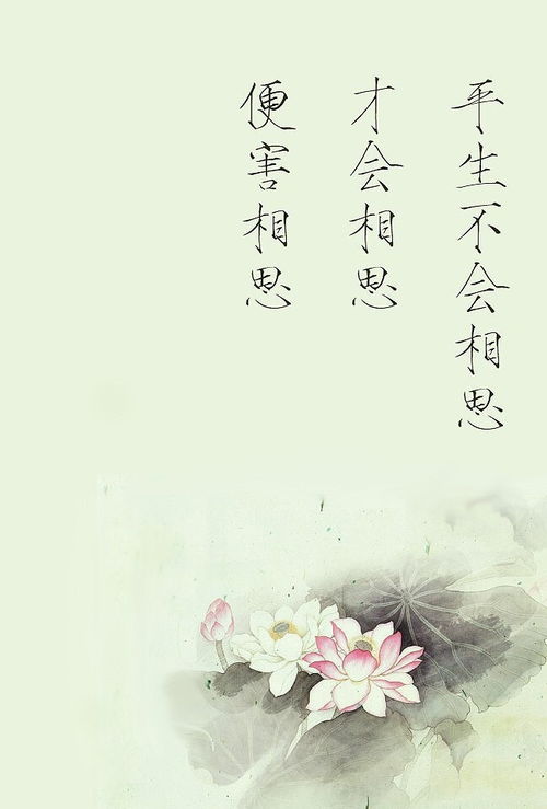 思念已故親人的詩句古詩,思念親人的詩句經(jīng)典古詩,描寫思念親人的詩句古詩