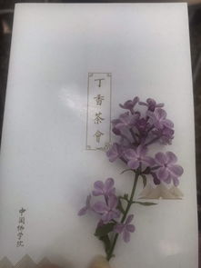 關(guān)于禪茶的古詩句