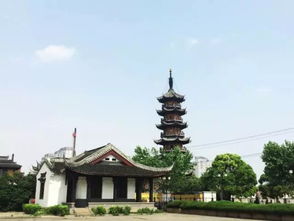 盛唐,詩(shī)句,夜景,描寫(xiě)