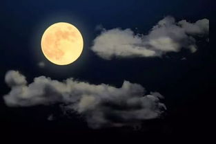 古詩,詩句,詠月