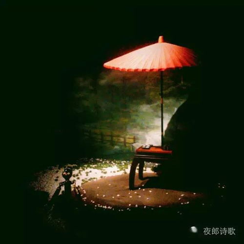 獨(dú)處的詩(shī)句古詩(shī)