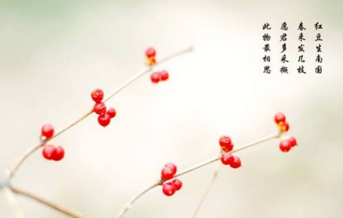 關(guān)于春天來了的詩句