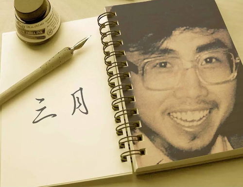 海子關于理想的詩句