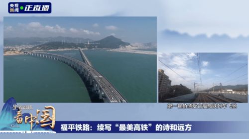 描寫竹子的詩(shī)句古詩(shī),描寫蓮花的詩(shī)句古詩(shī),描寫荷葉的詩(shī)句古詩(shī)