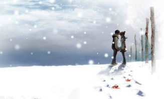 關(guān)于描寫冬天下雪的詩句古詩,描寫冬天下雪的優(yōu)美詩句,描寫冬天夜晚下雪的詩句