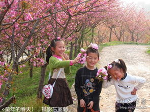 關(guān)于春天親情的詩句古詩大全