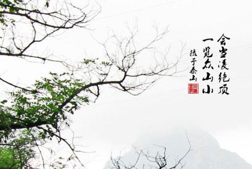 關于工作的詩句古詩詞