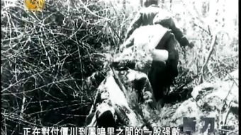 關于火焰的詩句