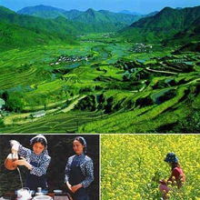 描寫田園風(fēng)光的詩句有哪些?,山水田園風(fēng)光的詩句有哪些,鄉(xiāng)村田園風(fēng)光的詩句有哪些