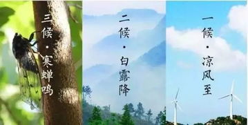 關(guān)于立秋喝酒的詩句