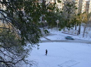 關(guān)于雪陽(yáng)的詩(shī)句