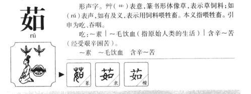 關(guān)于茹字的詩句