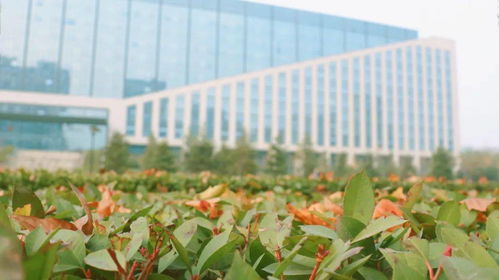 贊美暖陽(yáng)的古詩(shī)句,描繪山水的古詩(shī)句,描繪夏天的古詩(shī)句有哪些