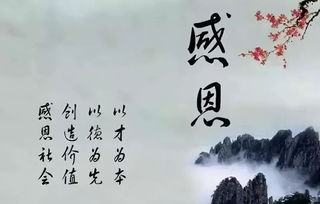 有關(guān)于感恩母親的詩句