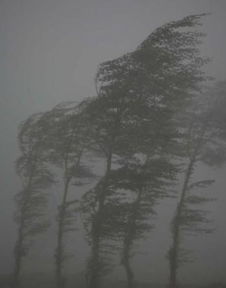 泥濘,詩句,風(fēng)雨