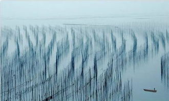 春雨,古詩,詩句,寫道