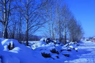 描寫冬天星星的詩(shī)句古詩(shī)詞