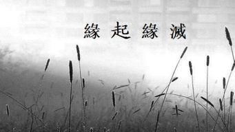 關(guān)于緣分盡了的詩(shī)句