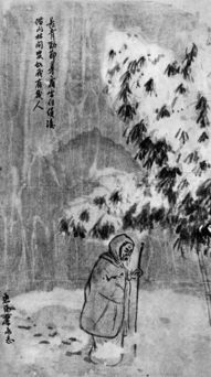 關(guān)于常青的詩句