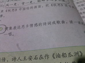 與采菊東籬下情感相近的詩句,與示兒情感相近的詩句,情感相近的詩句有哪些