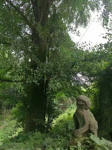 描寫南岳詩句古詩詞