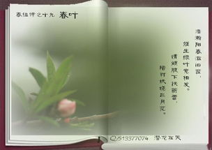 關(guān)于春葉的詩(shī)句