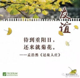 關(guān)于友誼長(zhǎng)存的詩(shī)句和名言