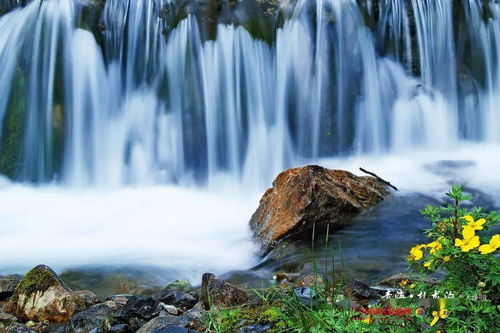 詩(shī)句,景色,旅游