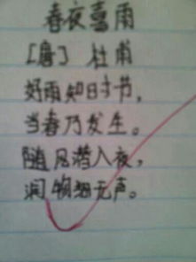 夸美女漂亮的古詩(shī)句,形容美女漂亮的古詩(shī),贊美女人漂亮的古詩(shī)句