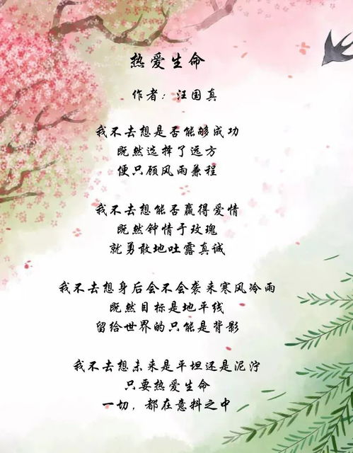 詩句,挫折,面對