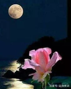 是用動靜結合的古詩句