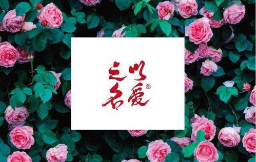 關(guān)于花夢(mèng)的詩(shī)句古詩(shī)大全