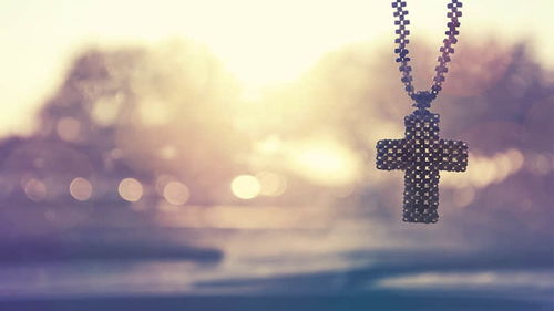 描寫梅花的詩句古詩大全,描寫春天梅花的詩句古詩大全,描寫冬天花的詩句古詩大全