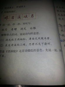 關(guān)于揭曉答案的詩(shī)句