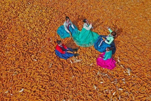 關(guān)于多姿多彩的詩句