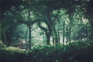 有關(guān)于苦讀書(shū)的詩(shī)句