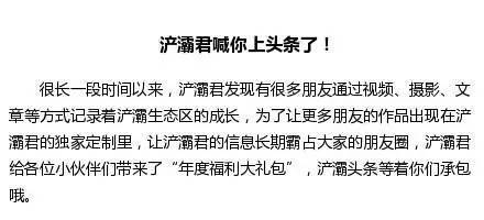 關(guān)于灞凌亭的詩句