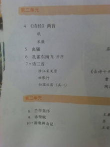 高一,詩(shī)句,必修,一必背古