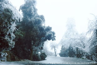 描寫(xiě)冬景的詩(shī)句古詩(shī)