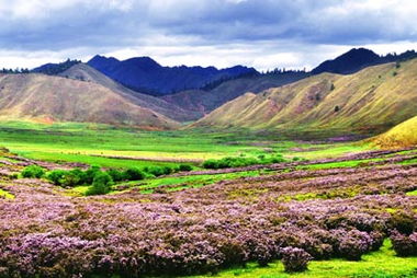 關(guān)于描寫怒江的詩句