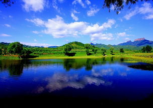 關于青山綠水的古詩句