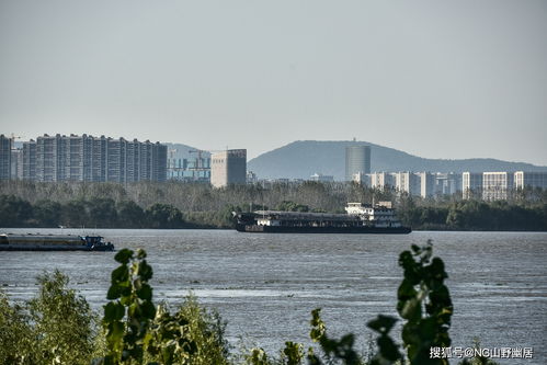 關(guān)于平視的詩句