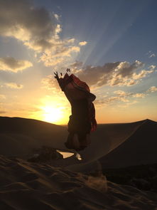 關(guān)于我國大西北的詩句