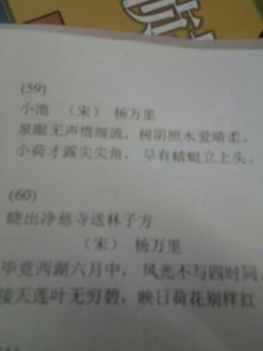 寫一句描寫夏景的古詩句