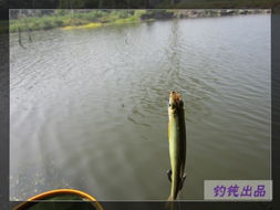 關于辛苦但幸福的詩句