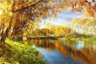 秋天蛙聲的詩(shī)句,秋天蟲(chóng)聲的詩(shī)句,寫秋天聲音的詩(shī)句