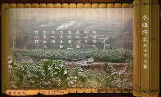 描寫(xiě)冬霜的詩(shī)句古詩(shī)大全